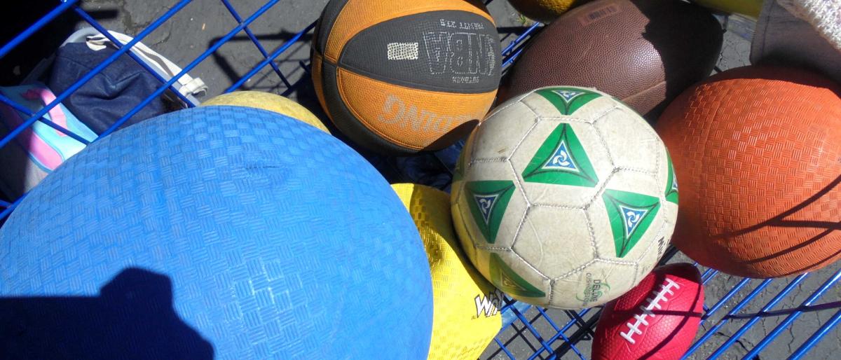 sports-balls-cart