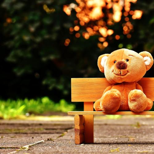 teddy-bear