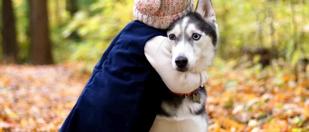 hug-day