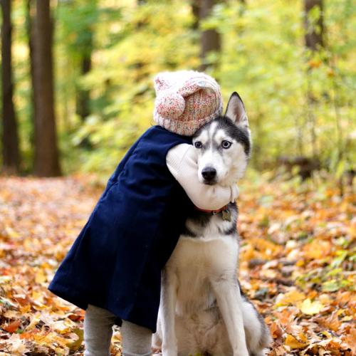 hug-day