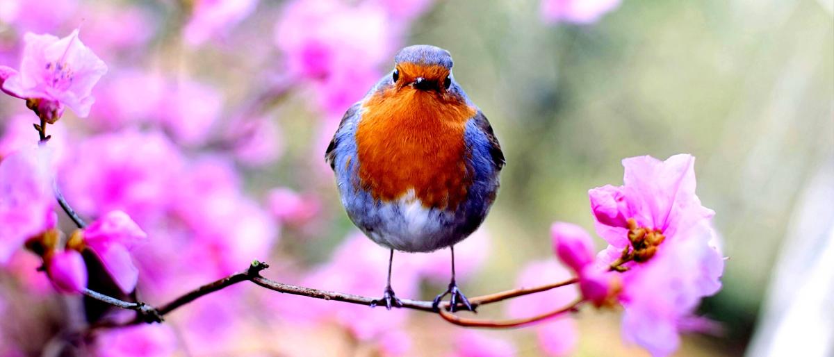first-day-of-spring