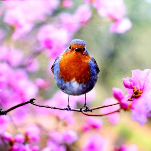 first-day-of-spring