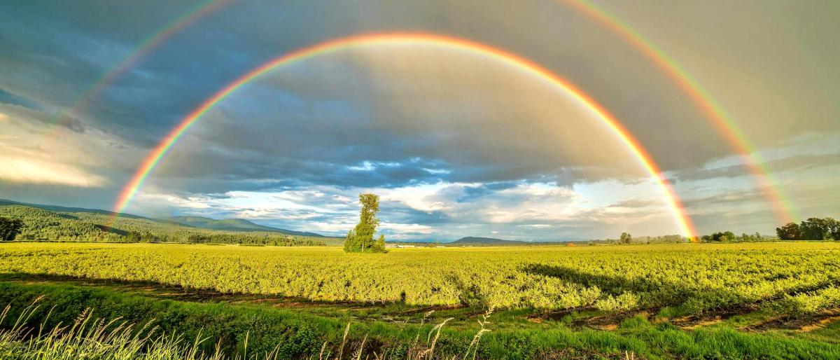 rainbow