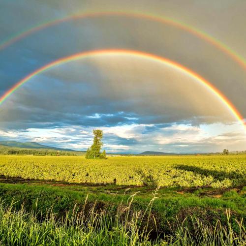 rainbow