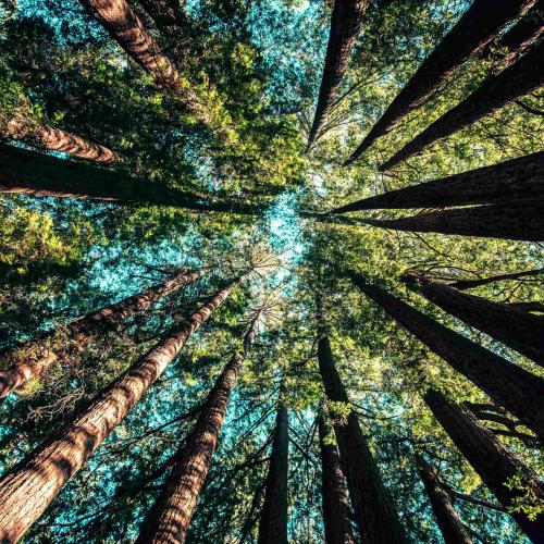earth-day