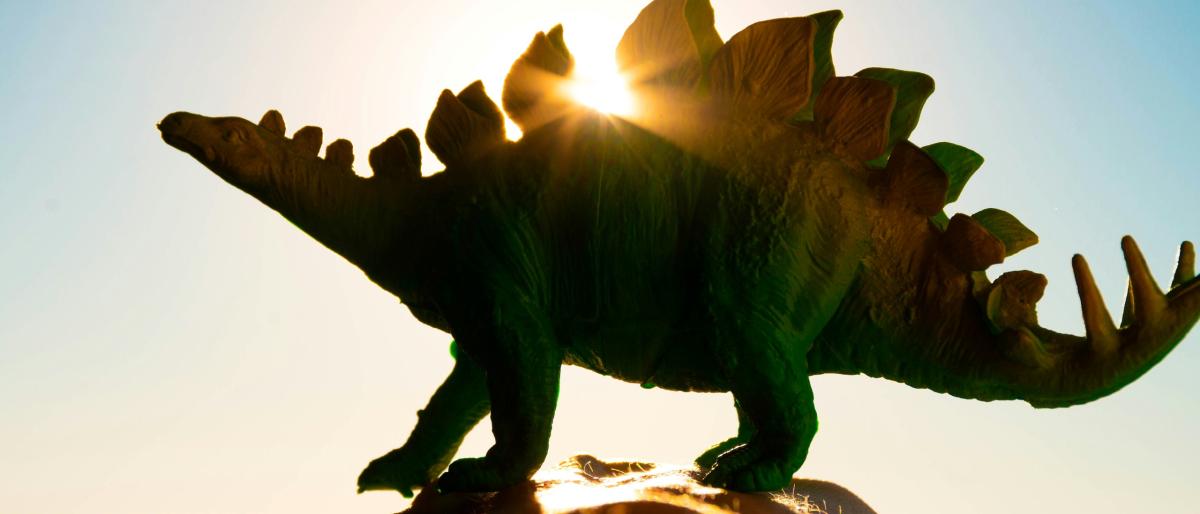 dinosaur