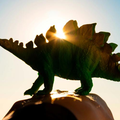 dinosaur