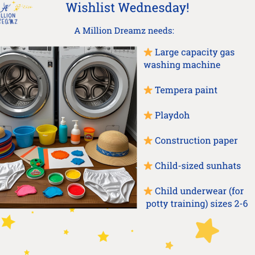 wishlist-wednesday-8-1-2025