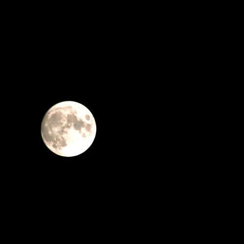 black-night-moon